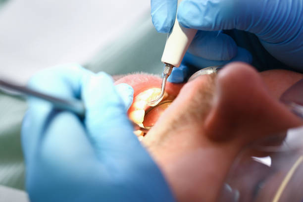 Best Emergency Orthodontic Repairs in Orland Hls, IL
